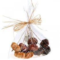 Artikel Deco græskar dekoration stik orange, brun blød Ø6,5m 9 stk