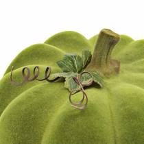 Dekorativ græskar flokket mosgrøn 32cm