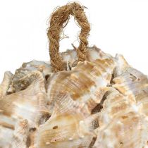 Artikel Dekorative kuglesneglehuse dekoration hængende naturlig Ø12cm