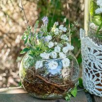 Kuglevase glas blomstervase rund glas dekoration H10cm Ø11cm