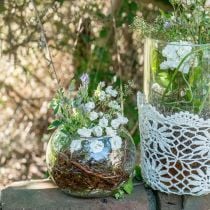 Kuglevase glas blomstervase rund glas dekoration H11cm Ø15cm