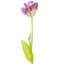 Artikel Kunstig blomster papegøje tulipan kunstig dekorativ tulipan lilla 63cm