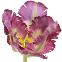 Artikel Kunstig blomster papegøje tulipan kunstig dekorativ tulipan lilla 63cm