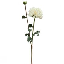 Artikel Kunstig blomst Dahlia Hvid Kunstig blomst med knop H57cm