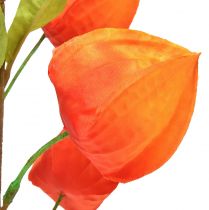 Artikel Kunstig blomst orange lanterneblomst Physalis dekorative silkeblomster 93cm 2 stk.