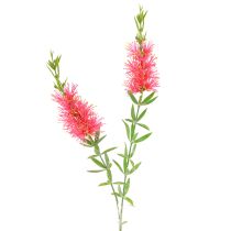Artikel Kunstige Blomster Rød Karmin Cylinder Rensemidler 70cm 3stk