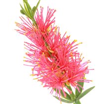 Artikel Kunstige Blomster Rød Karmin Cylinder Rensemidler 70cm 3stk