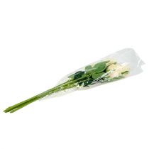 Artikel Kunstige blomster rose creme Ø6cm L50cm 6stk