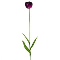 Kunstige blomster tulipaner lilla-grøn 84 cm - 85 cm 3stk