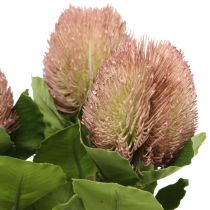 Kunstige blomster, Banksia, Proteaceae Hvid-lilla L58cm H6cm