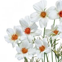 Artikel Kunstige blomster Cosmea hvide silkeblomster H51cm 3 stk
