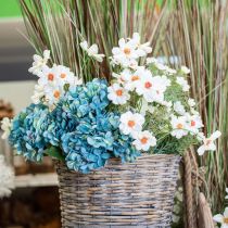 Artikel Kunstige blomster Cosmea hvide silkeblomster H51cm 3 stk