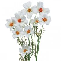 Artikel Kunstige blomster Cosmea hvide silkeblomster H51cm 3stk