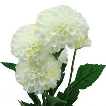 Artikel Kunstige blomster dekorative dahlia kunstige hvide 50cm