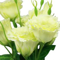 Artikel Kunstige blomster Eustoma Lisianthus gulgrøn 52cm 5stk