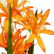 Artikel Kunstige blomster Nerine Orange Guernsey Lilies Efterårsblomster 48cm
