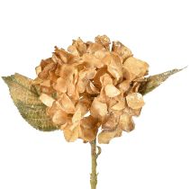 Artikel Kunstig hortensia tørret op Drylook efterårsdekoration L33cm
