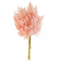 Artikel Kunstig Plante Astilbe Dekorationsgrene Kunstig Pink H38cm 5 Stk
