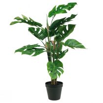 Artikel Kunstig plante Philodendron Kunstig potteplante H60cm