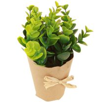 Artikel Kunstige planter Kunstig Bregne buksbom 15-19cm 4stk
