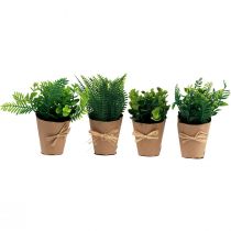 Artikel Kunstige planter Kunstig Bregne buksbom 15-19cm 4stk