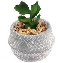 Artikel Kunstige Planter Sukkulenter Kunstig Grøn Plante 11-14cm 3stk