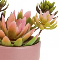Artikel Kunstige planter i potter kunstige sukkulenter H13cm 3stk