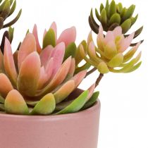 Kunstige planter i potter kunstige sukkulenter H13cm 3stk