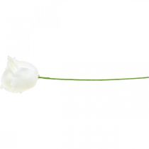 Artikel Kunstige roser creme voks roser dekorative roser voks Ø6cm 18 stk