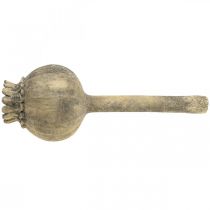 Artikel Kunststen dekoration valmue antik dekoration brun Ø13cm L37,5cm