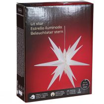 Artikel LED stjerne 3D hvid timer batteri udvendig Ø30cm H74cm