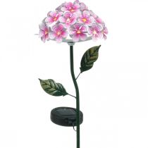 Solblomst, LED havedekoration, dekorativ krysantemum pink L55cm Ø15cm