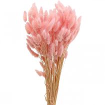 Lagurus Tørret Kaninhale Græs Lys Pink 65-70cm 100g