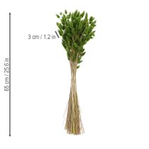 Artikel Tørret Lagurus (Harehalegræs) 65-70 cm 75 g