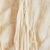 Artikel Tørrede blomster Lagurus Natural – fluffy kaninhalegræs i cremehvid 55-70 cm 100 g