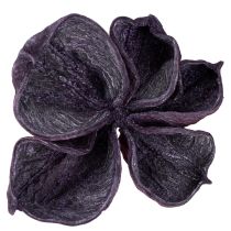Artikel Landlotus Mix Blackberry, Old Pink 50 stk