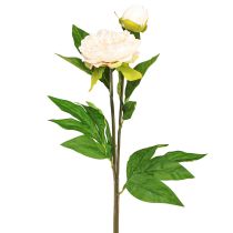 Artikel Lange kunstige pæoner kunstige blomster creme 70cm 3 stk