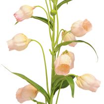 Artikel Lanterne Lilje Kunstig Blomst Lilje Abrikos 90cm 2stk