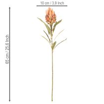 Artikel Kunstig Protea Leucadendron-blomst med lang stilk, 65 cm, 3 stk.