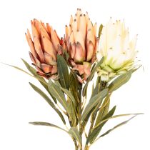 Artikel Kunstig Protea Leucadendron-blomst med lang stilk, 65 cm, 3 stk.