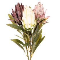 Artikel Protea kunstig blomst Leucadendron 100cm 3 stk
