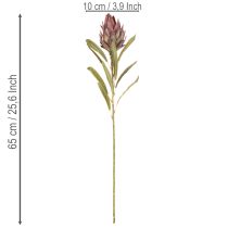 Artikel Protea kunstig blomst Leucadendron 100cm 3 stk