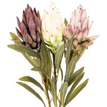 Artikel Protea kunstig blomst Leucadendron 100cm 3 stk