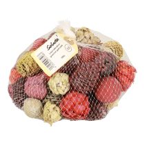 Artikel Leucadendron kegler Bellgum Grøn Rød Gul Frosted 300g