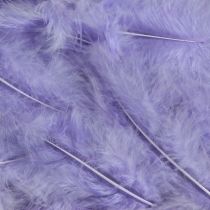 Artikel Purple Feathers Fluffy Craft Supplies Fjeder 5-10cm 20g