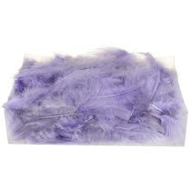 Artikel Purple Feathers Fluffy Craft Supplies Fjeder 5-10cm 20g