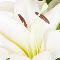 Artikel Kunstige liljer, 6 hvide blomster, realistisk blomstrende gren, 66 cm