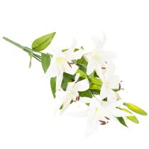 Artikel Kunstige liljer, 6 hvide blomster, realistisk blomstrende gren, 66 cm