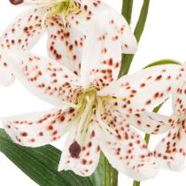 Artikel Kunstig lilje som blomsterstilk til elegant og vedligeholdelsesfri dekoration, 82 cm, 2 stk.
