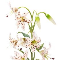 Artikel Kunstig lilje som blomsterstilk til elegant og vedligeholdelsesfri dekoration, 82 cm, 2 stk.